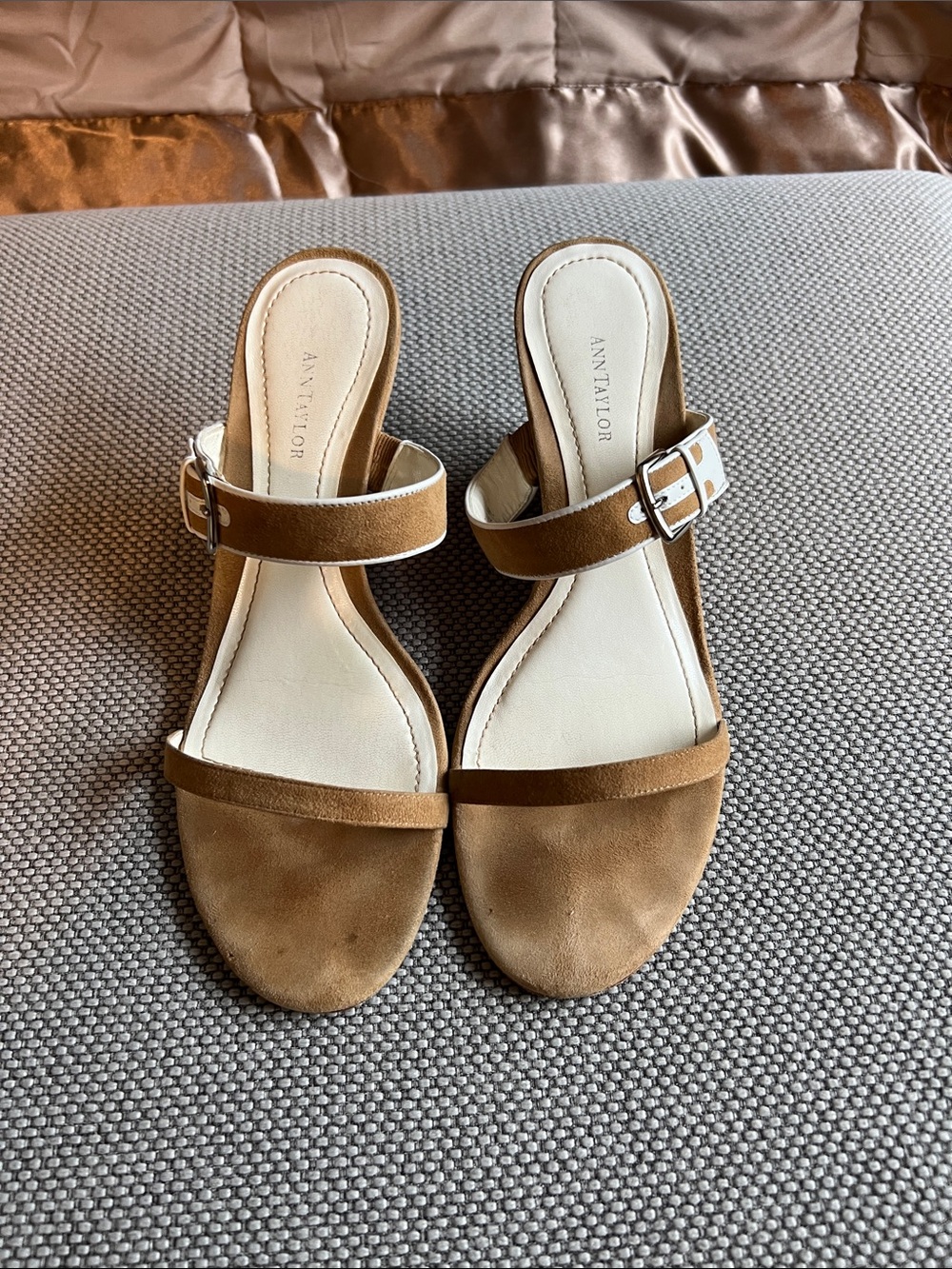 Ann Taylor Brown Suede Slide Sandals with Buckle